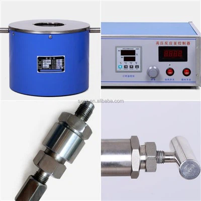 High Pressure Reactor