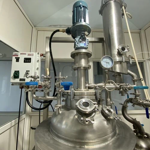 Stainless Steel Pressure Reactor