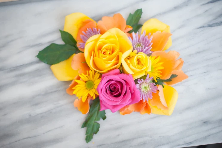 Freeze Dryer | Shaanxi Achieve chem-tech Freeze Dryer | Shaanxi Achieve chem-tech