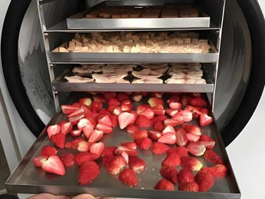 Food Dehydrator Freeze Dryer | Shaanxi Achieve chem-tech Food Dehydrator Freeze Dryer | Shaanxi Achieve chem-tech